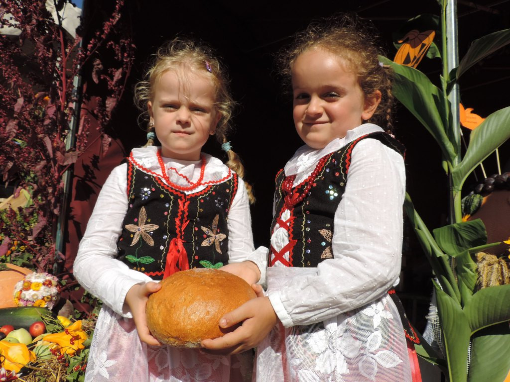 Dynia w roli głównej