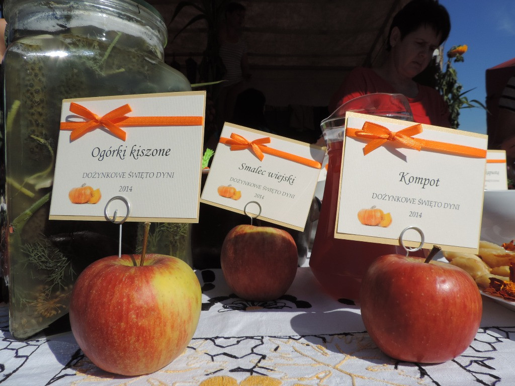 Dynia w roli głównej