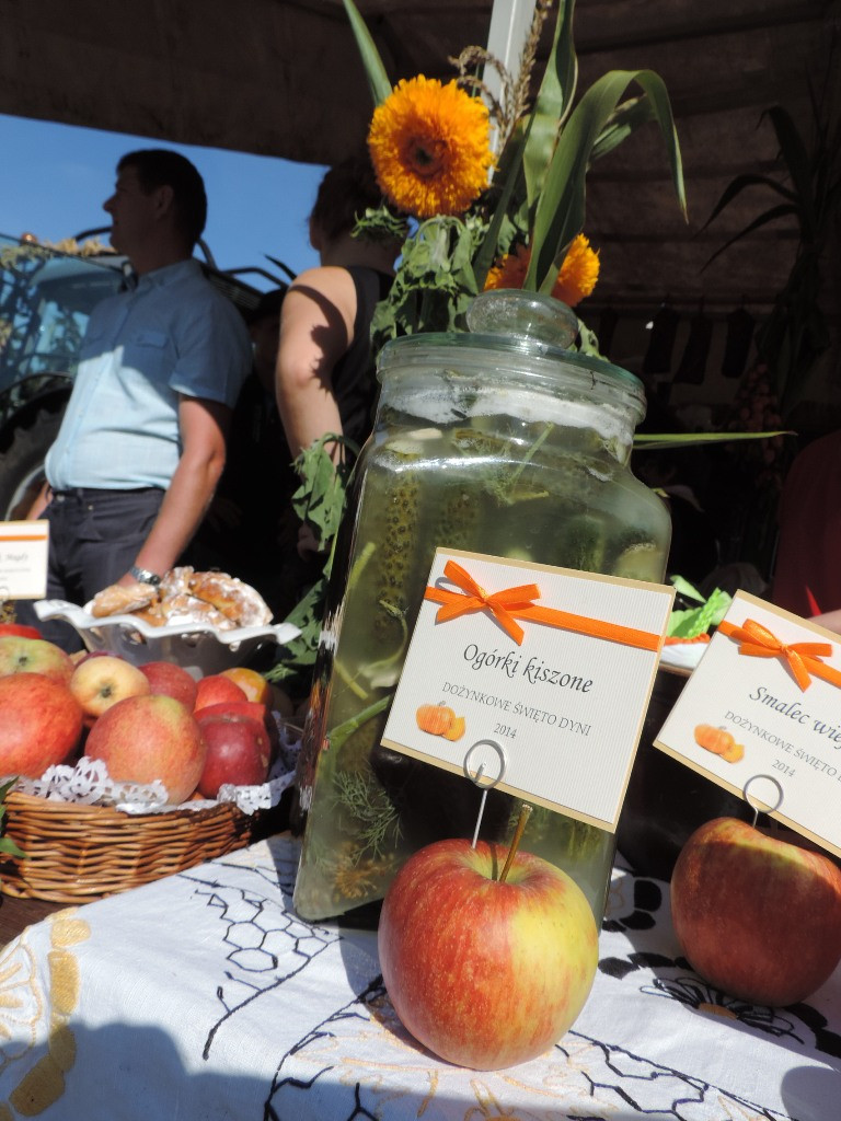 Dynia w roli głównej