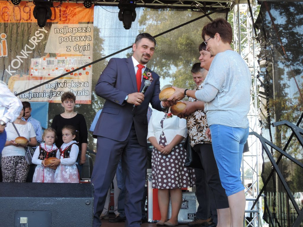 Dynia w roli głównej