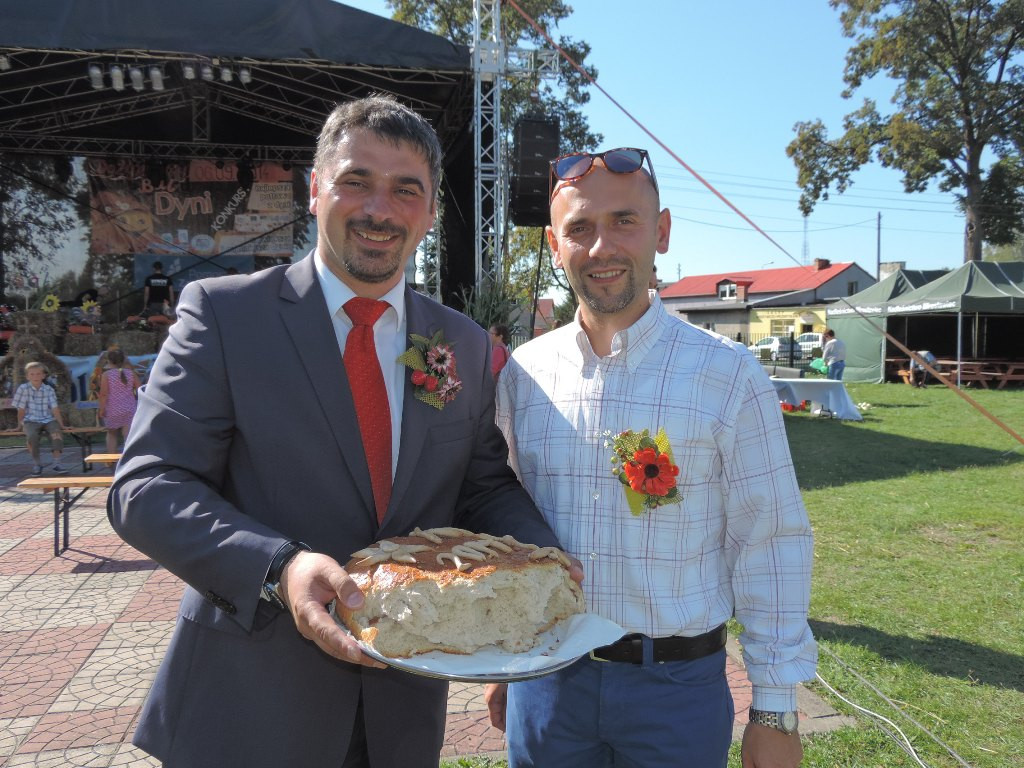 Dynia w roli głównej