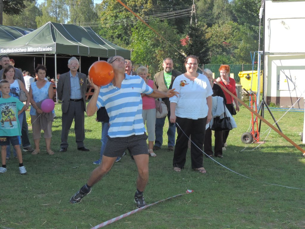 Dynia w roli głównej