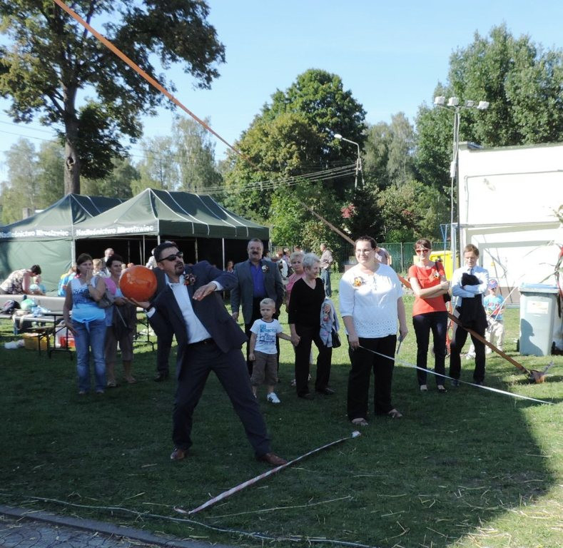 Dynia w roli głównej