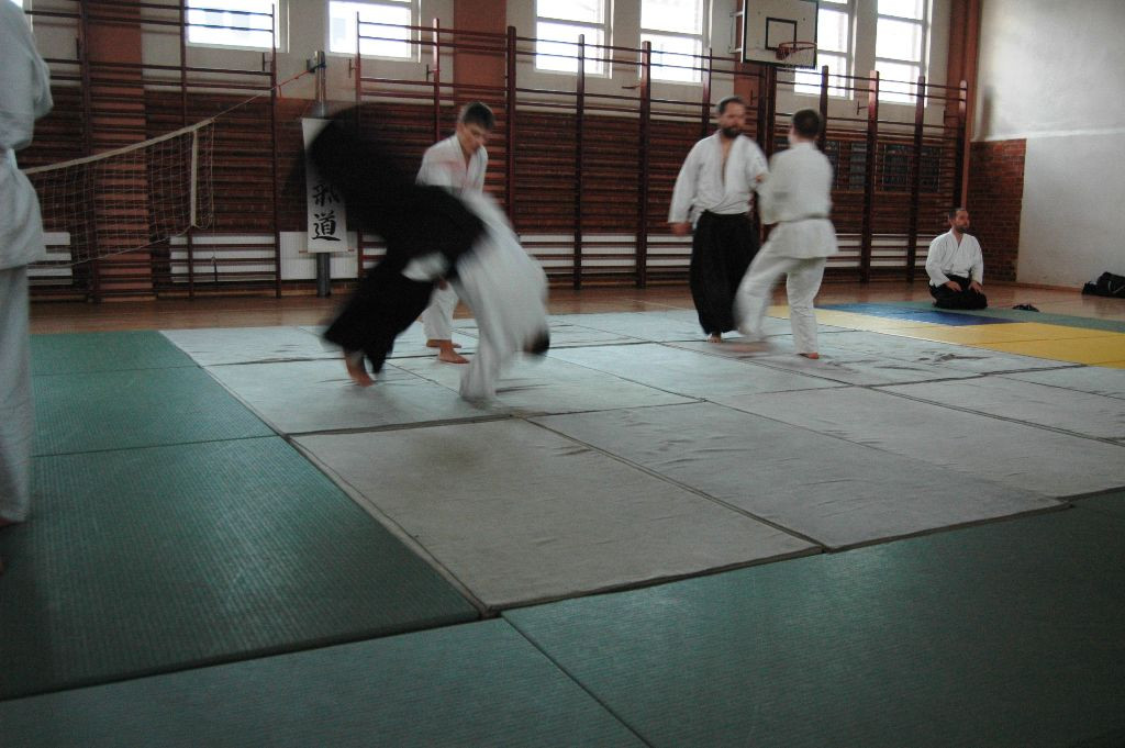 Seminarium Aikido