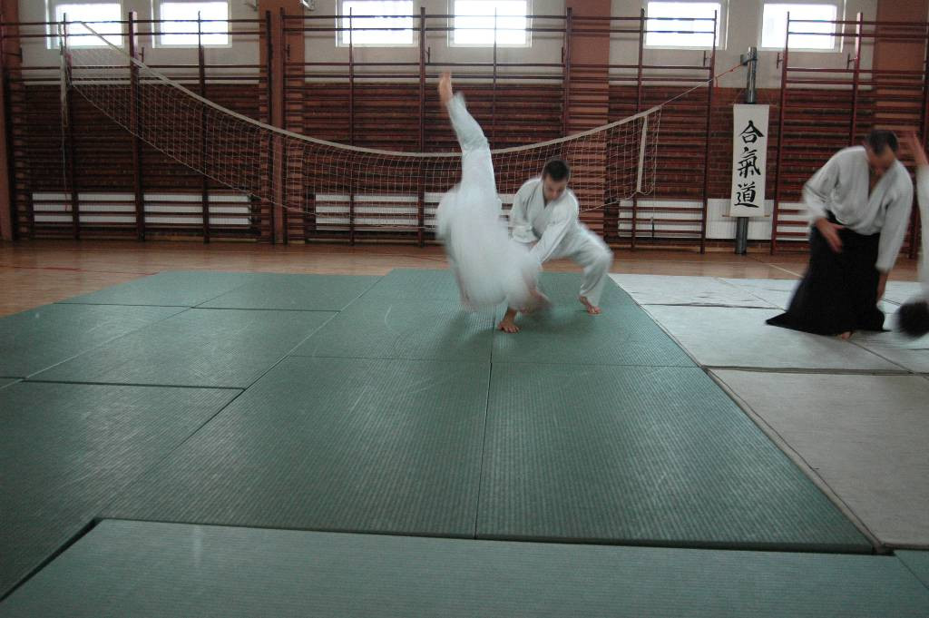 Seminarium Aikido