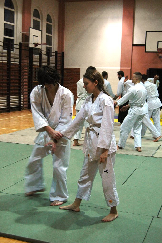 Seminarium Aikido