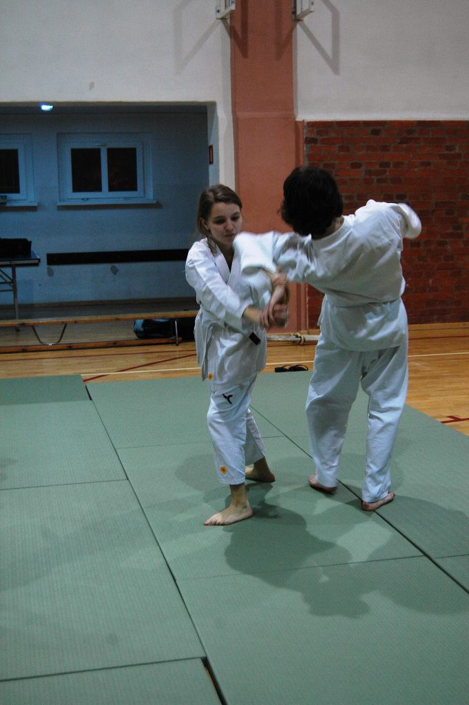 Seminarium Aikido
