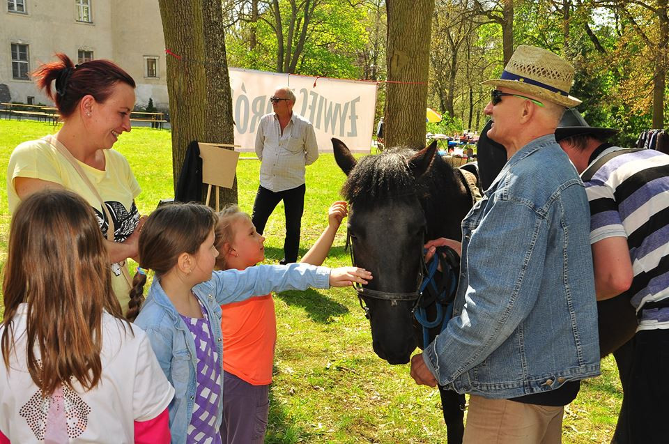 Majówka jak marzenie (fotogaleria)