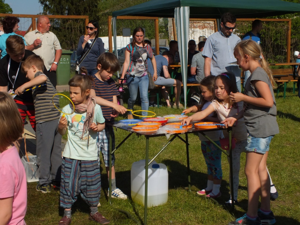 Festiwal rozmaitości
