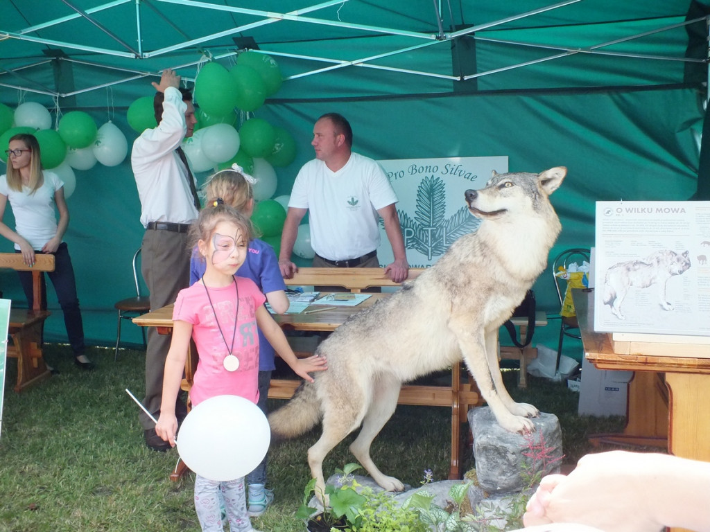 Las - dobre sąsiedztwo