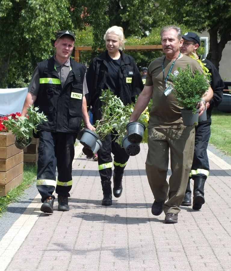 Las - dobre sąsiedztwo