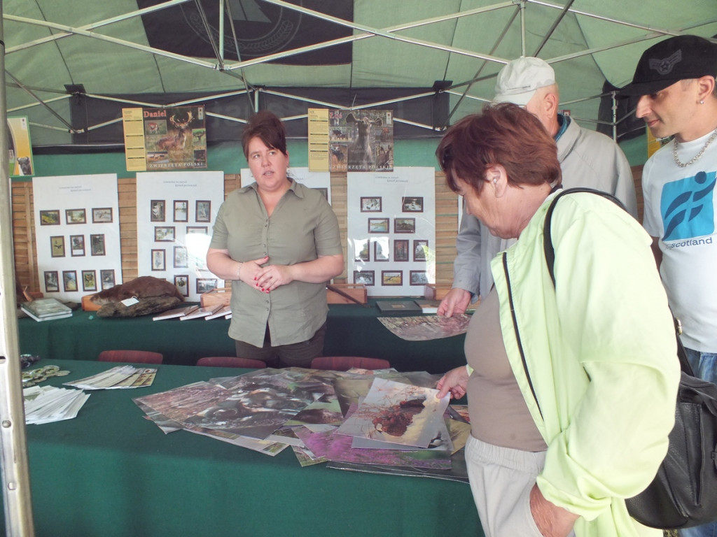 Las - dobre sąsiedztwo
