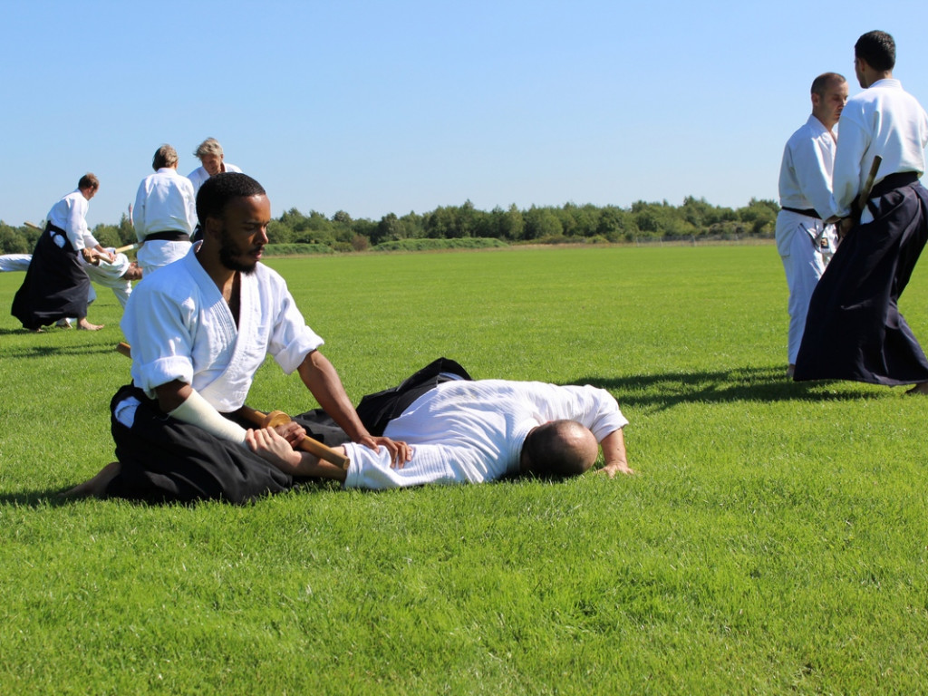 Mistrzowie kenjutsu (galeria)