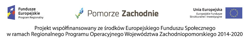 Siła regionów