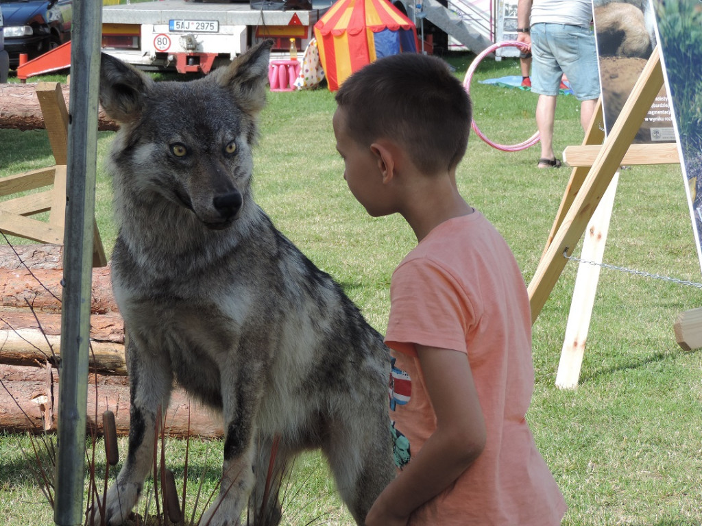 Gdzie Dni Tuczna z tamtych lat?