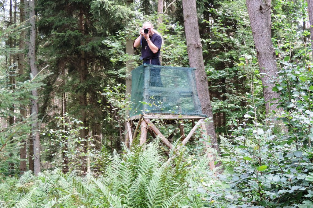 Survival przerósł oczekiwania (galeria)