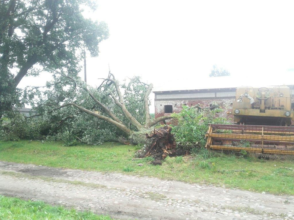Wyrywało drzewa z korzeniami