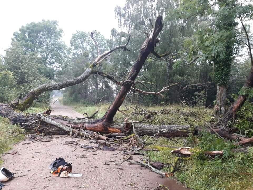Wyrywało drzewa z korzeniami