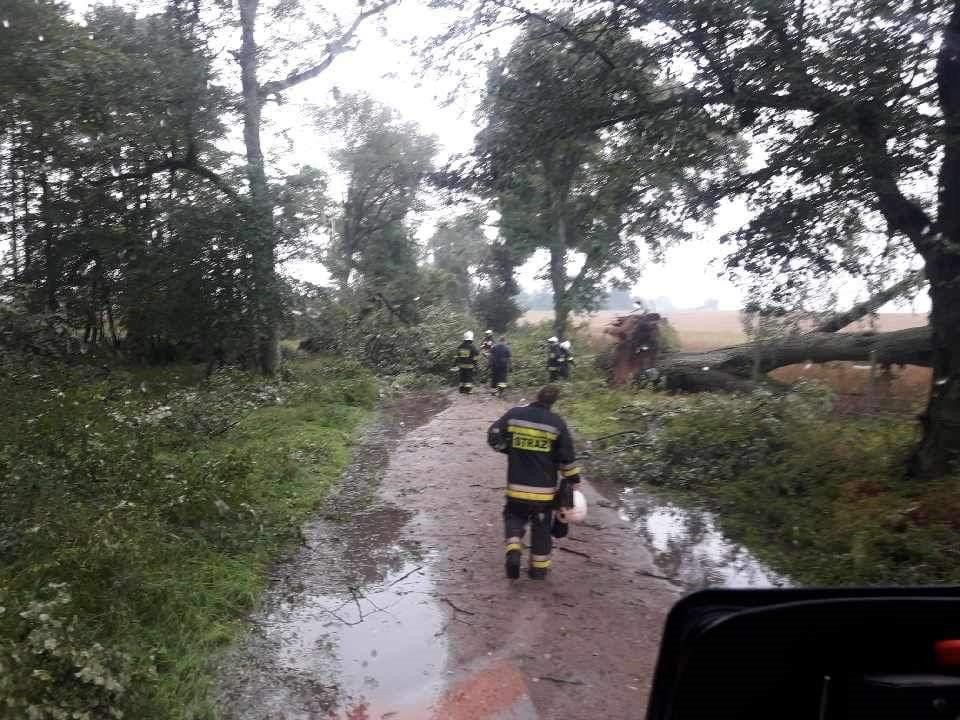 Wyrywało drzewa z korzeniami
