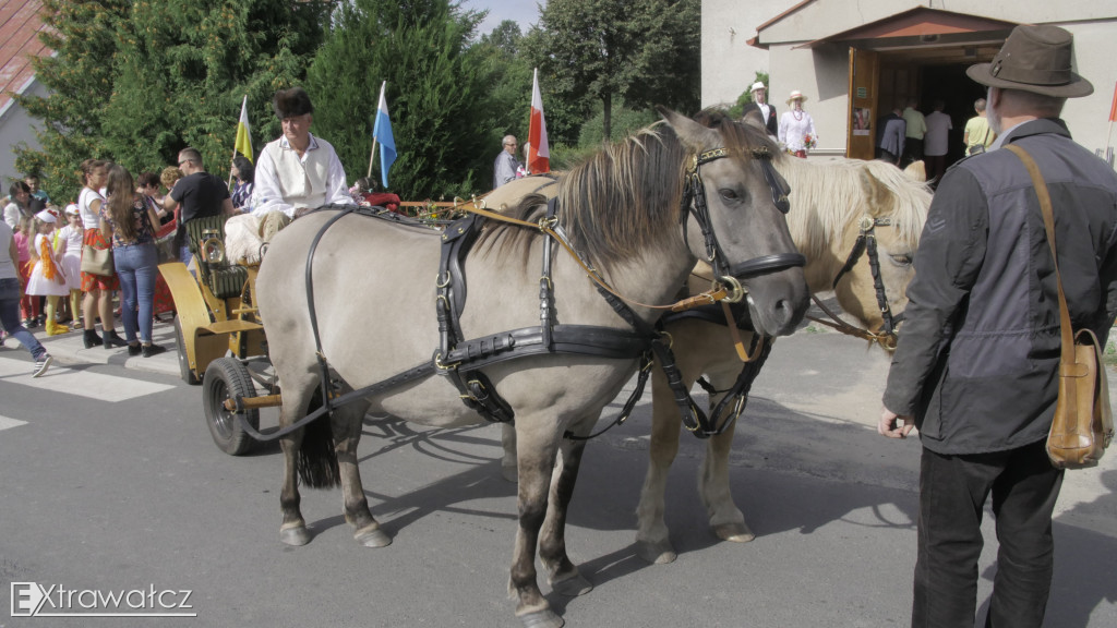 Powiatowe dożynki w Karsiborze