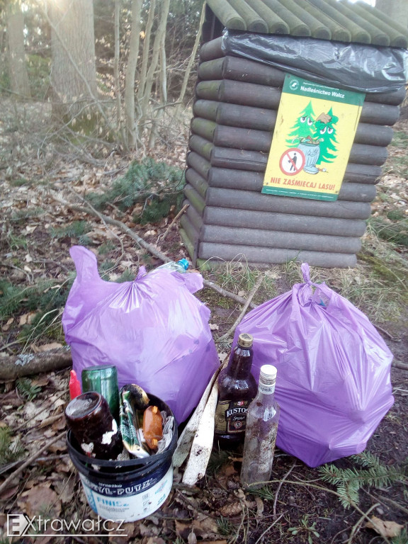 Bez większego namysłu i ujmy na wizerunku