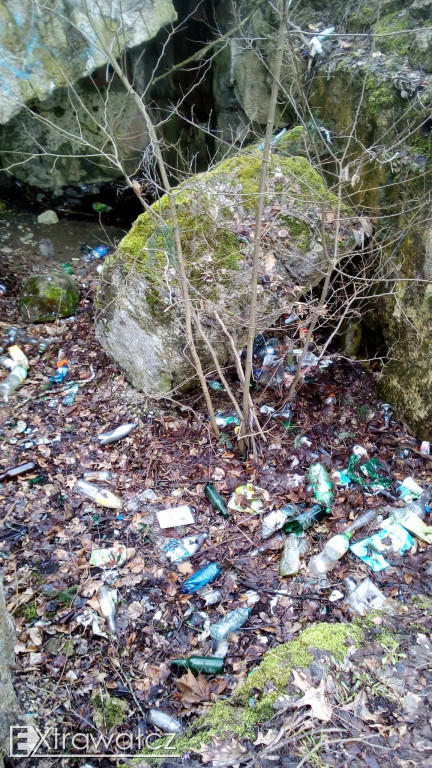 Bez większego namysłu i ujmy na wizerunku