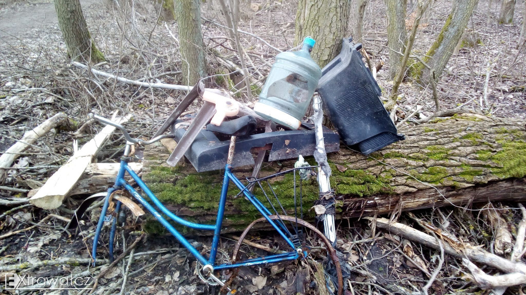 Bez większego namysłu i ujmy na wizerunku