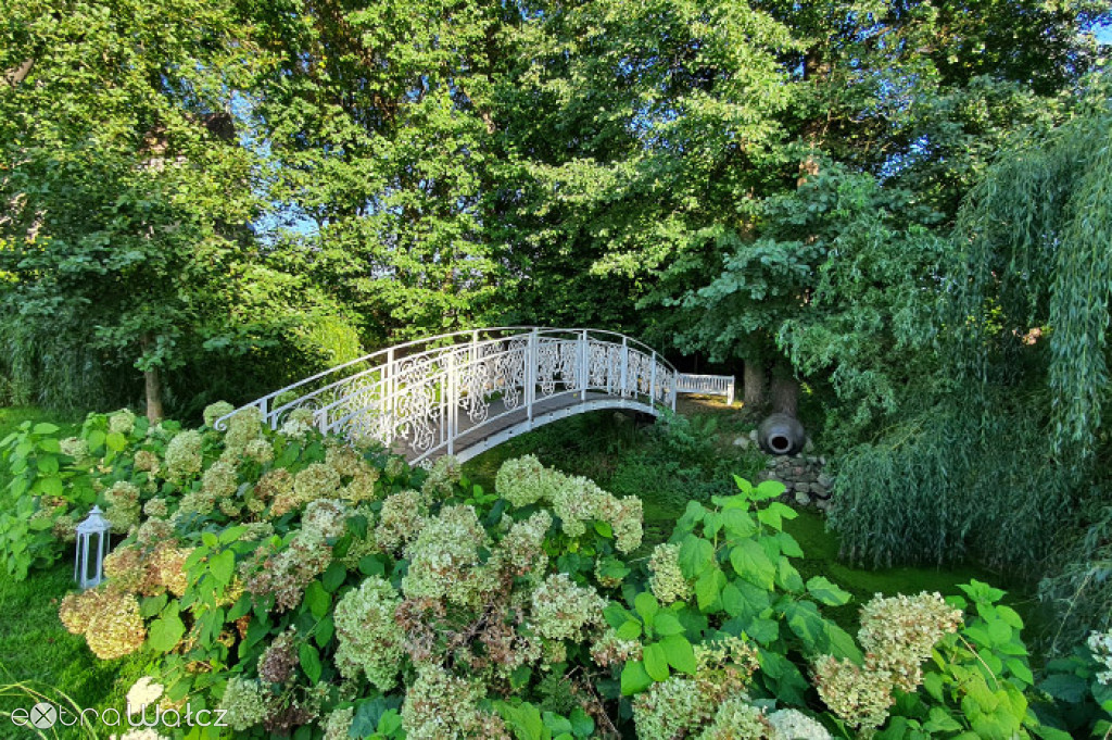 Perła w gminie Wałcz. Pałac w Wiesiółce