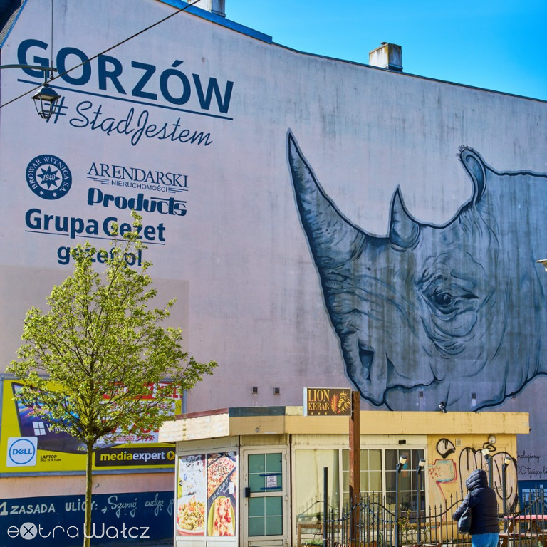 WUTW w Gorzowie