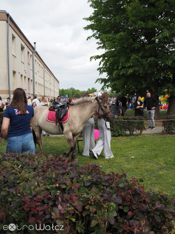 Wyjątkowy festyn w SP nr 4 w Wałczu.