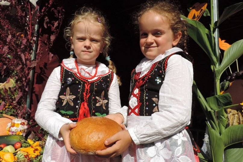 Dynia w roli głównej