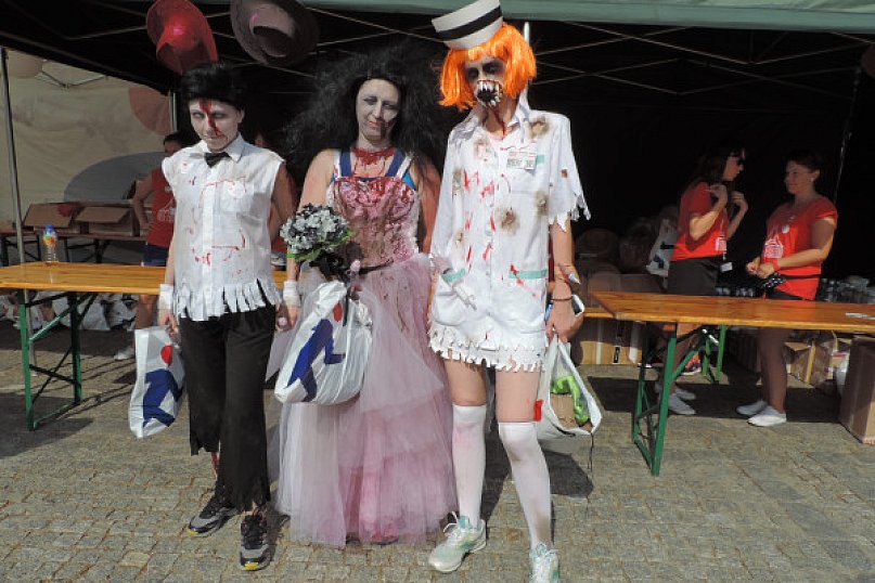 Po raz kolejny rekordowy