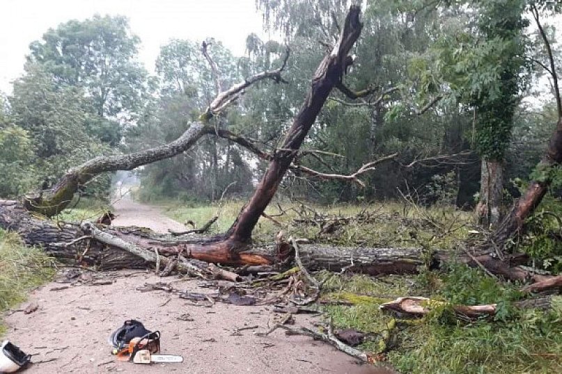 Wyrywało drzewa z korzeniami