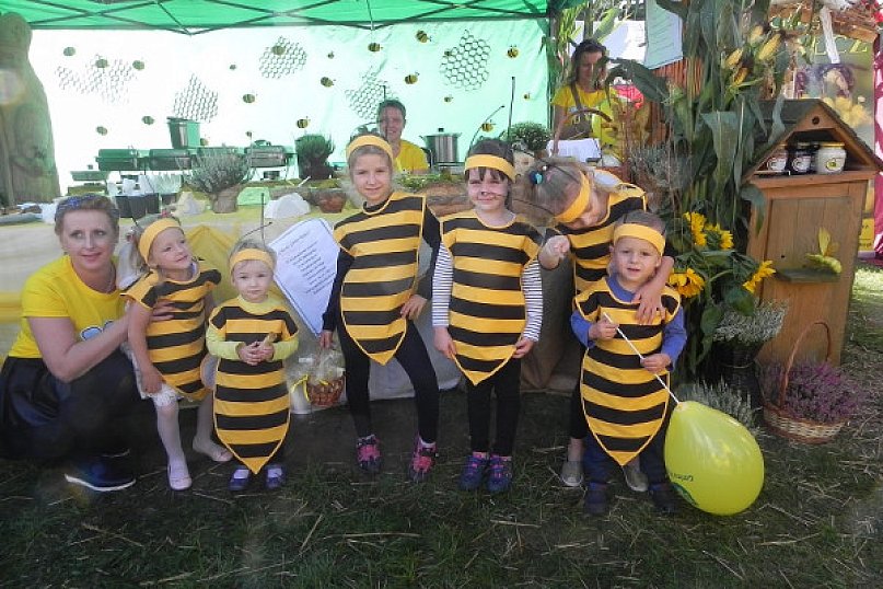 Powiatowe święto plonów