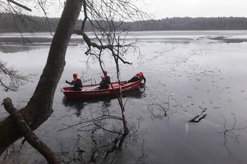 Strażacy uratowali żubra