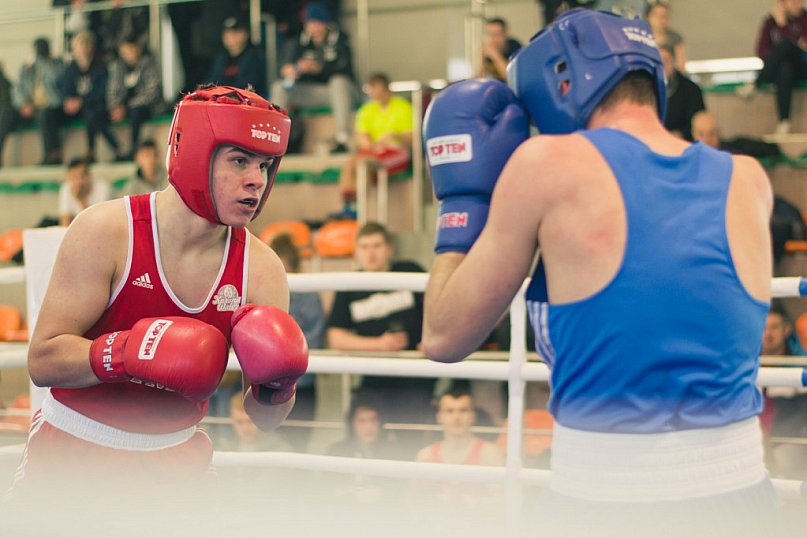 Prestiżowa złota Korona