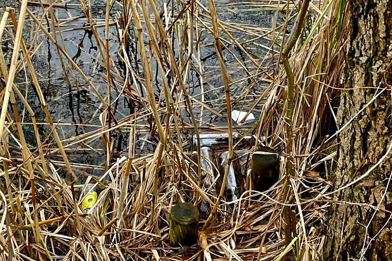 Apel do burmistrza i radnych