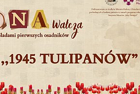 "1945 tulipanów" - DNA Wałcza-11236