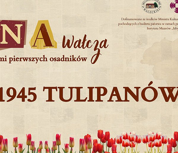 "1945 tulipanów" - DNA Wałcza-11236