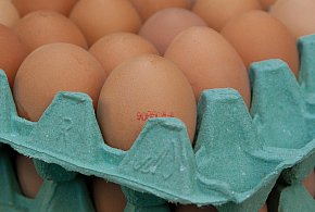 Salmonella na jajach znanej marki. Nie jedz, jeśli masz je w lodówce!-13764