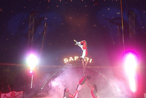 Największy Cyrk Safari w Wałczu! „Dream Circus” już 14 sierpnia!-14073