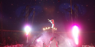 Największy Cyrk Safari w Wałczu! „Dream Circus” już 14 sierpnia!-14073