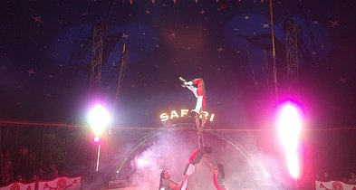 Największy Cyrk Safari w Wałczu! „Dream Circus” już 14 sierpnia!-14073