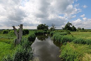 Co dalej z nowym parkiem narodowym? Minister klimatu zdradza plan po wecie-14828