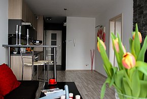 Rewolucja w wynajmie na doby. Nadchodzi koniec "wolnej amerykanki"-15015