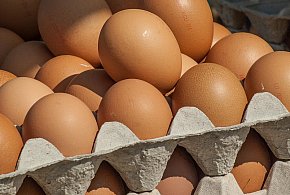 Salmonella wykryta w jajach! GIS wydał pilne ostrzeżenie-15131