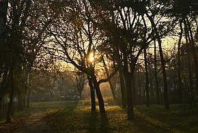 Nadchodzi najkrótszy dzień w 2025 roku. Sprawdź, kiedy przypadnie-15161