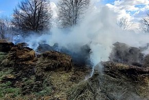 Trzech chłopców w wieku od 13 do 15 lat odpowie przed Sądem Rodzinnym