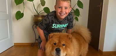 Najczęściej popełniane błędy w kontakcie z psem-14720