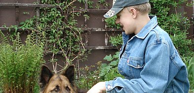 Czego nie powinniśmy robić z własnym psem